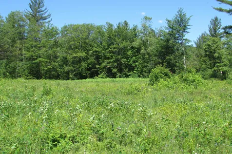 H Razor Brook Way Bartlett NH 03812