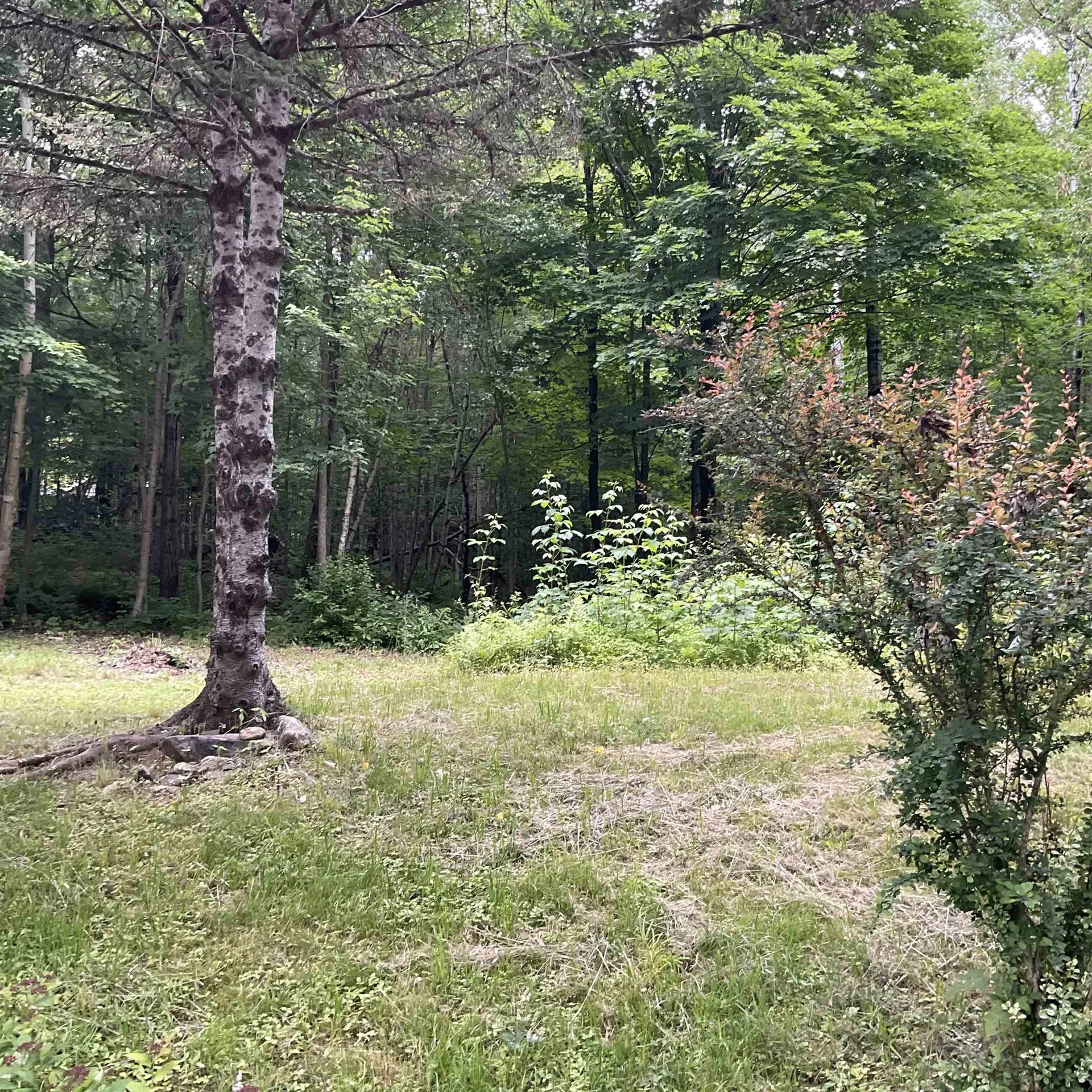 72 Corliss Hill Road Meredith NH 03253