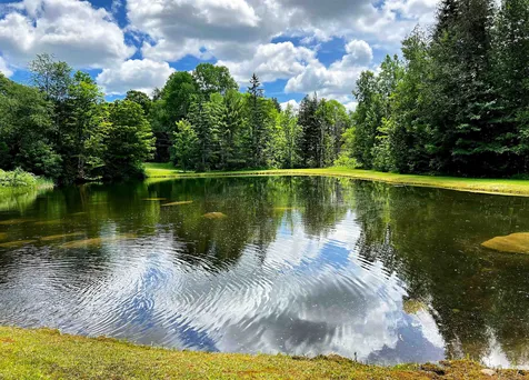1242 Oneida Road Danville VT 05828