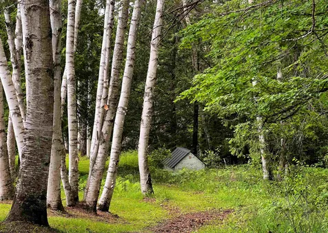 1242 Oneida Road Danville VT 05828
