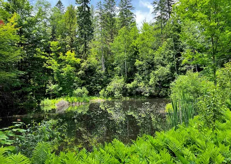 1242 Oneida Road Danville VT 05828