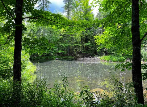 1242 Oneida Road Danville VT 05828
