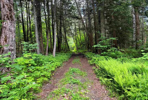 1242 Oneida Road Danville VT 05828