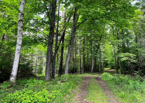 1242 Oneida Road Danville VT 05828