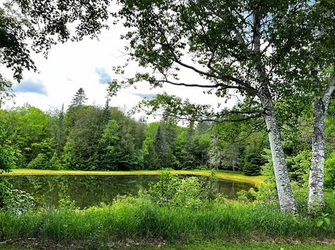 1242 Oneida Road Danville VT 05828