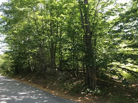 00 Jones Road Effingham NH 03882