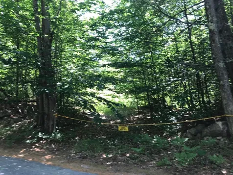 00 Jones Road Effingham NH 03882
