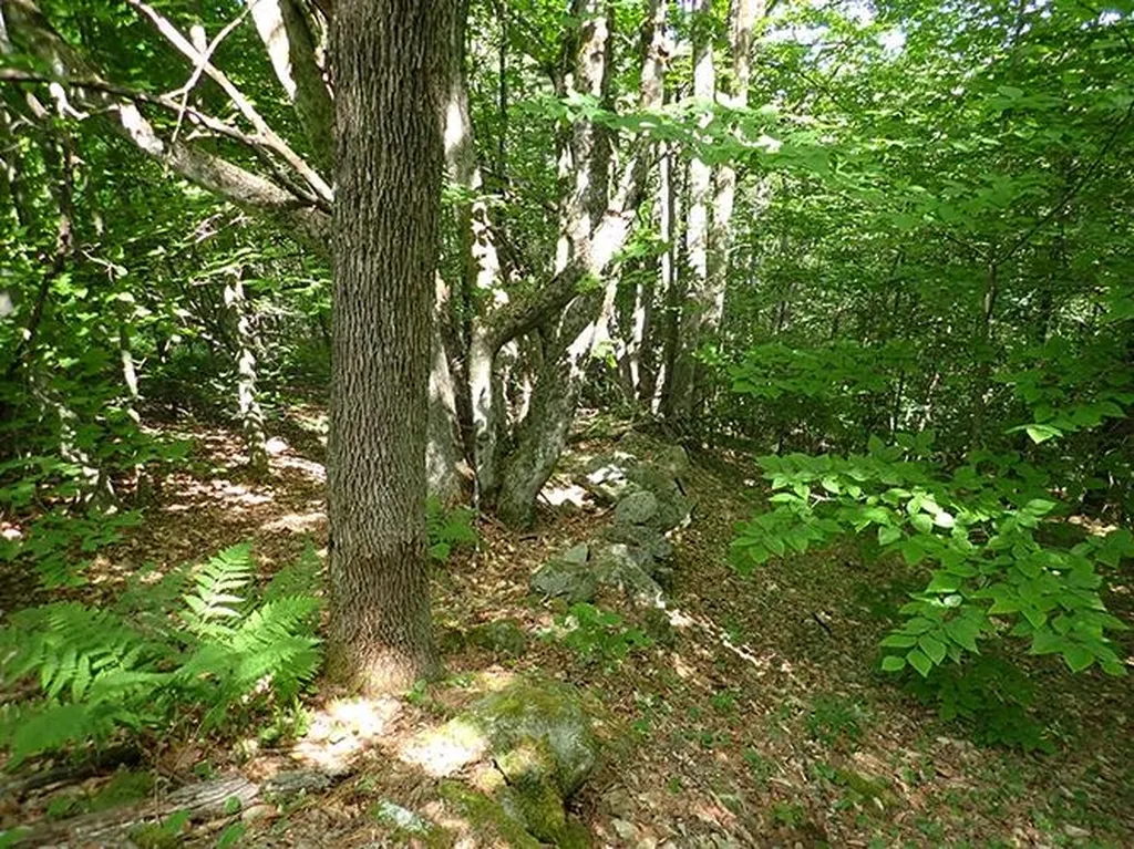 134 Ben Dexter Road Topsham VT 05076