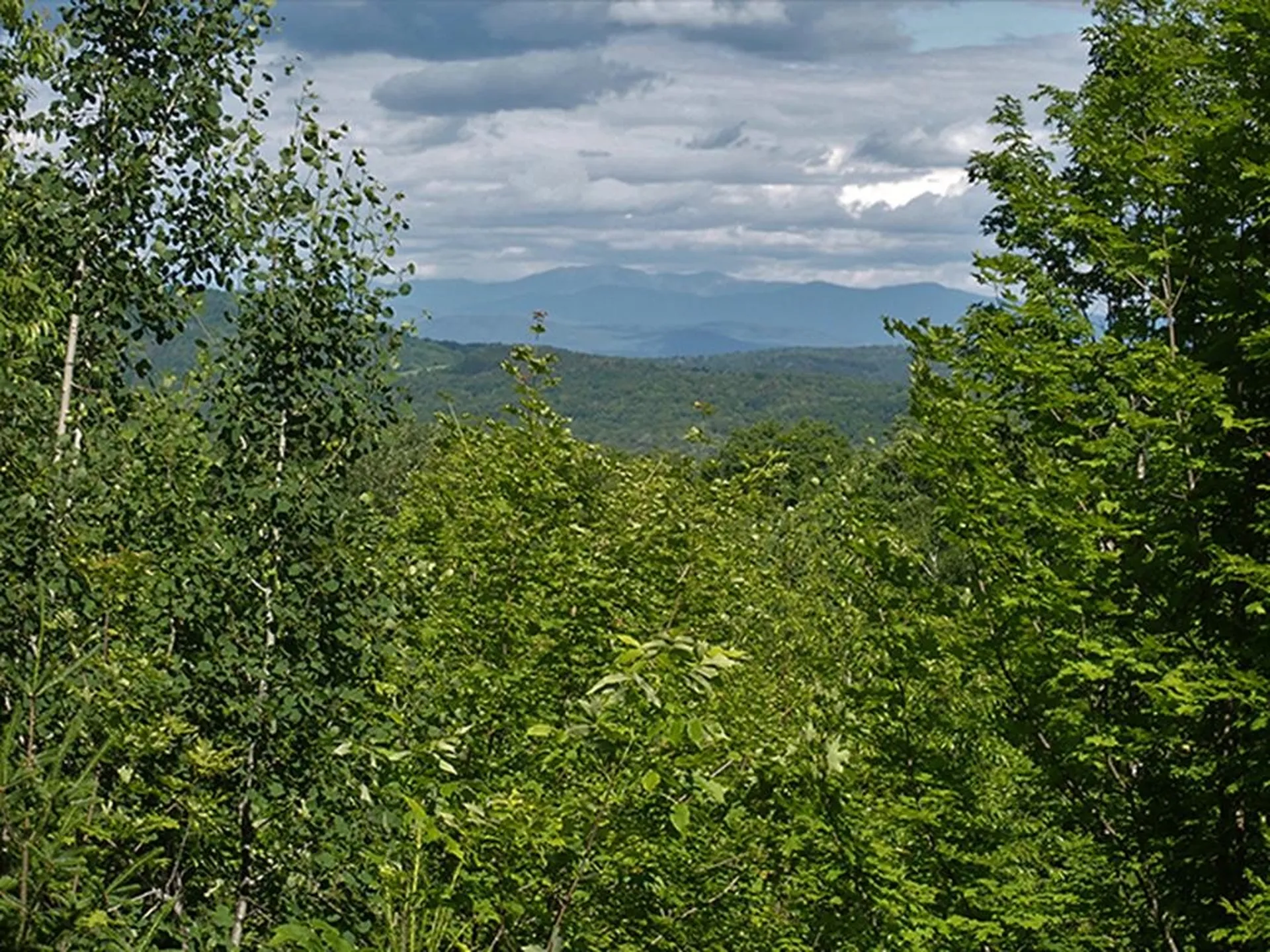 134 Ben Dexter Road Topsham VT 05076