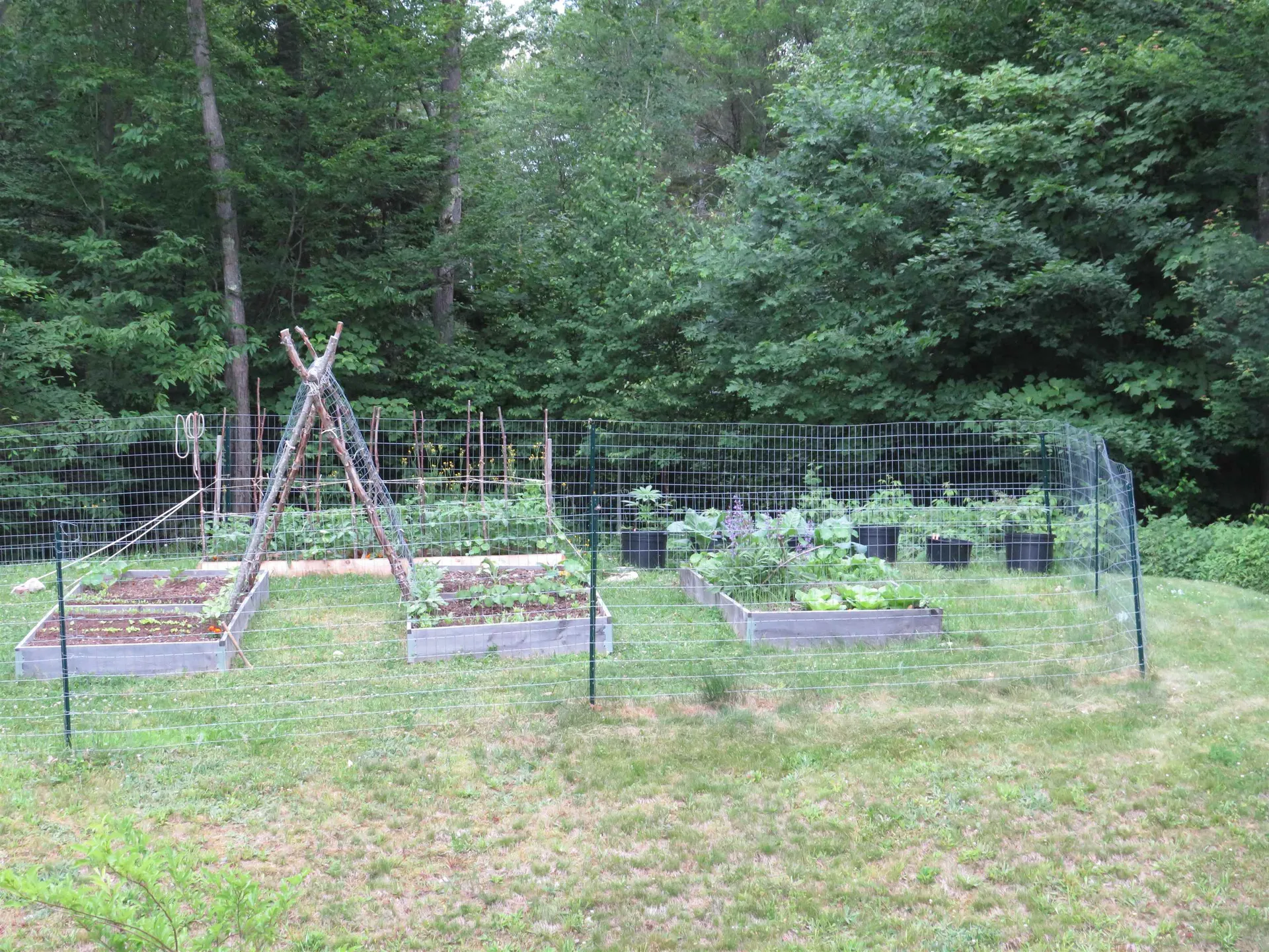 111 Palmer Road Enfield NH 03748