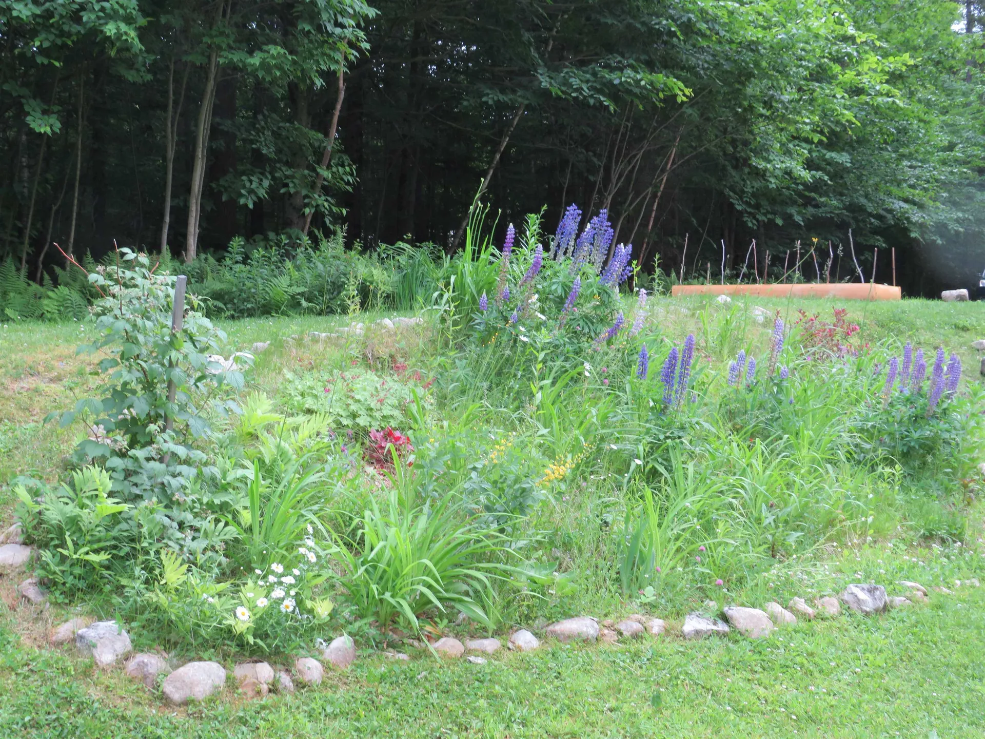111 Palmer Road Enfield NH 03748