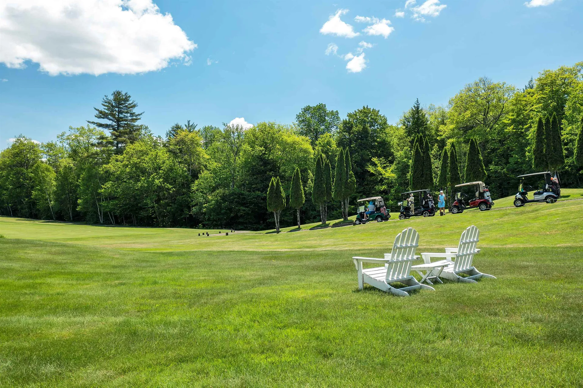 127 Samuel Hale Drive Hales Location NH 03860