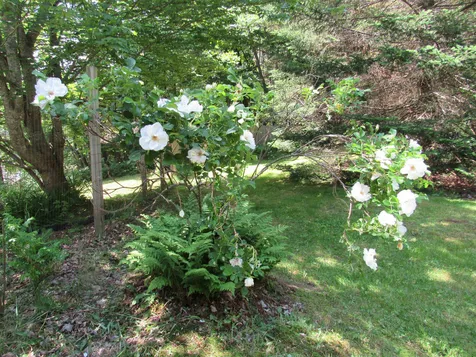 2493 Howard Street Berlin NH 03570