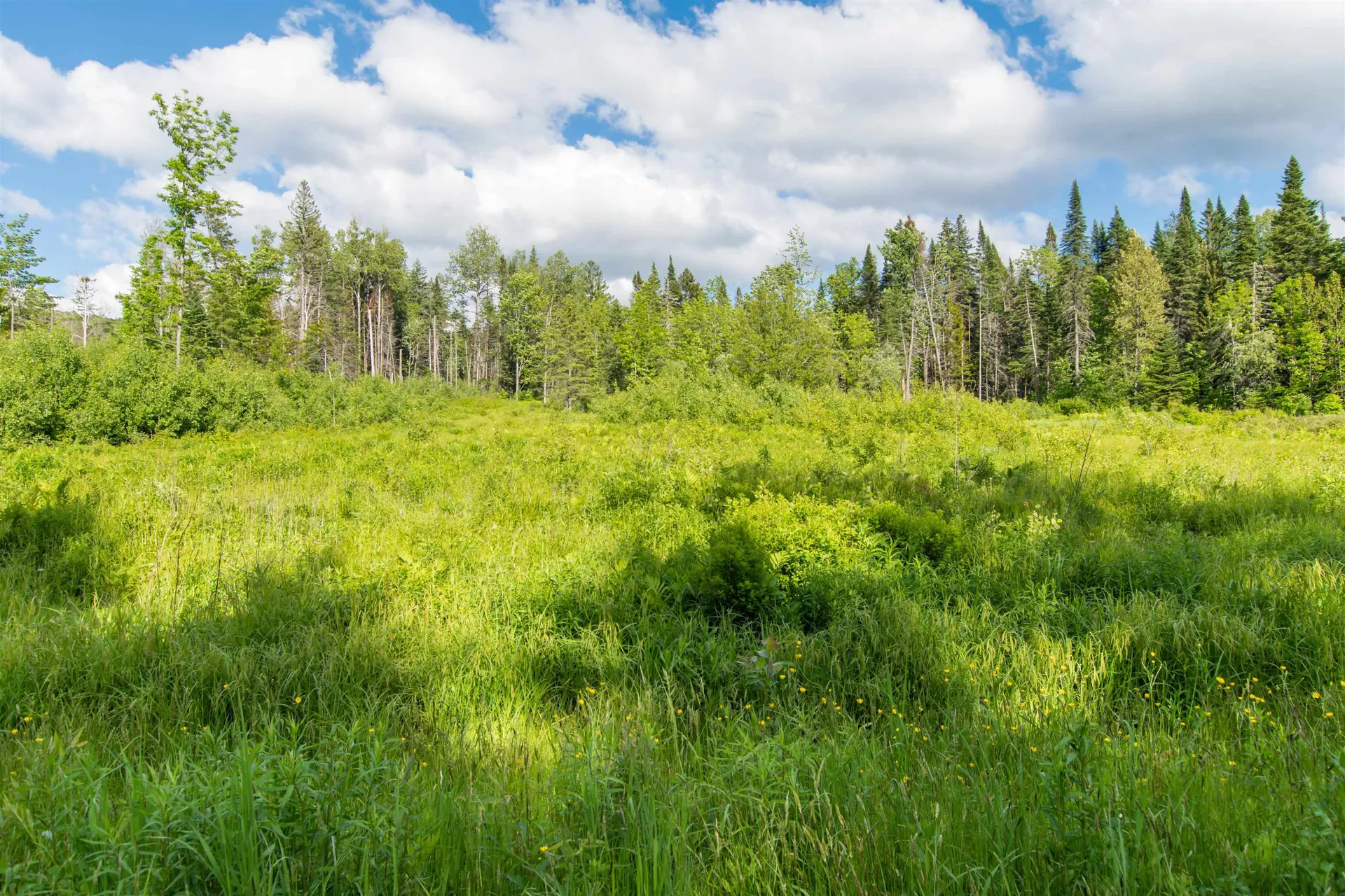 165 Sugar Hill Road Stewartstown NH 03576