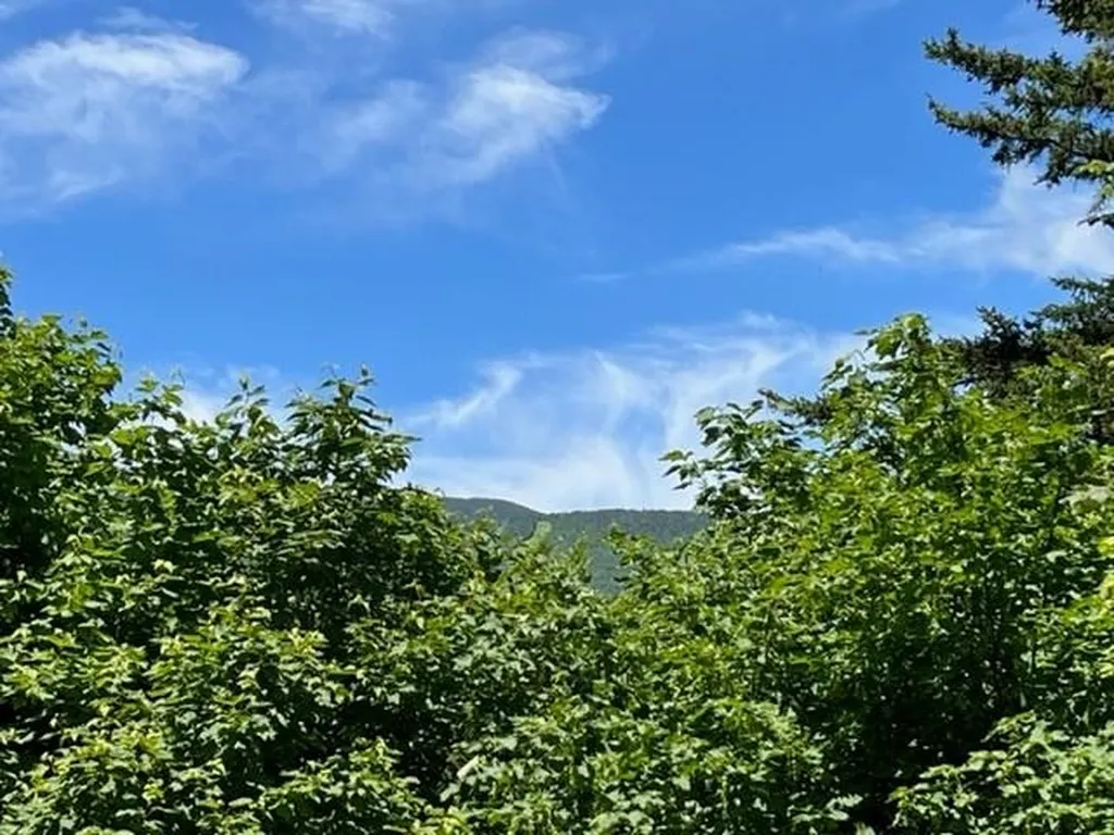 104 Rumble Road Warren VT 05674