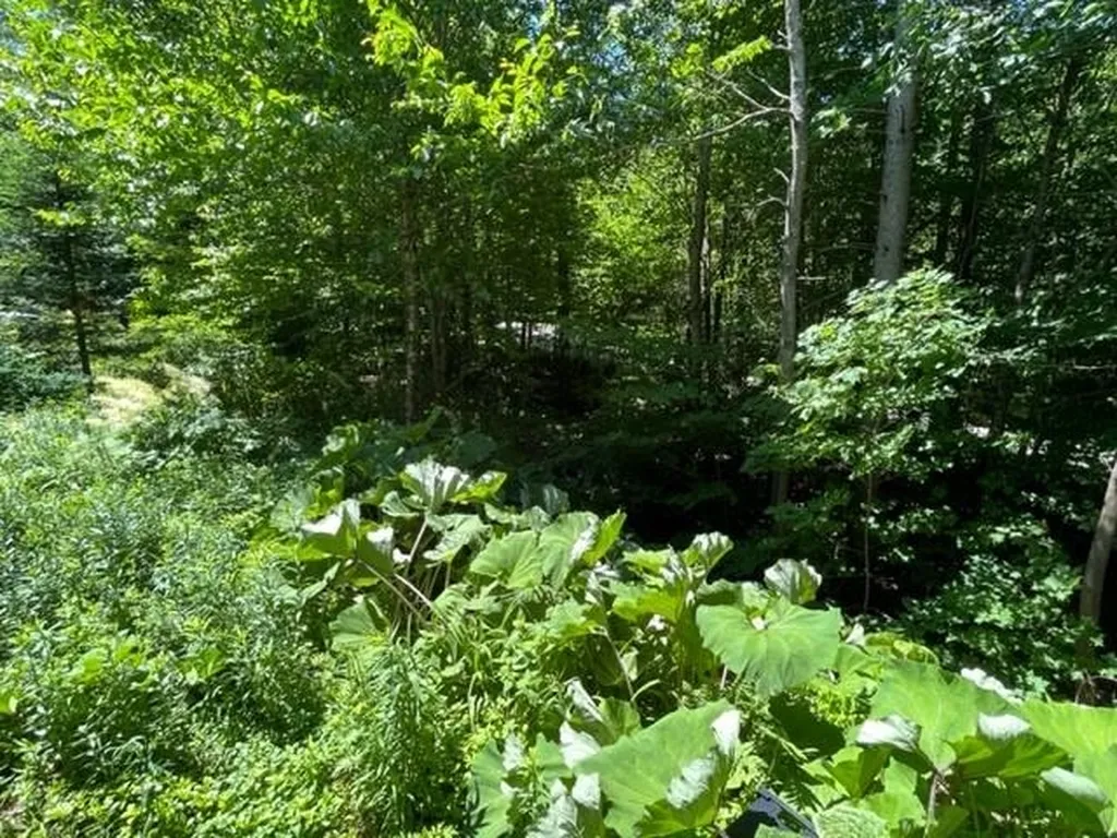 104 Rumble Road Warren VT 05674