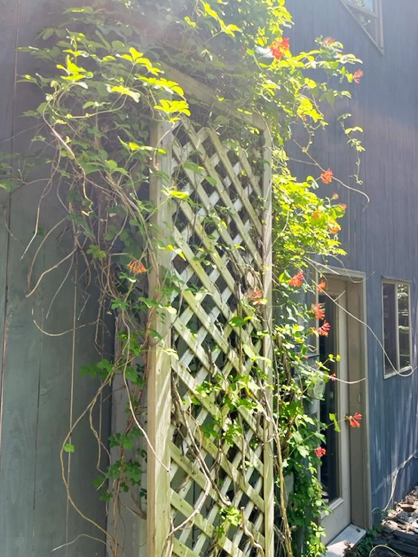 104 Rumble Road Warren VT 05674