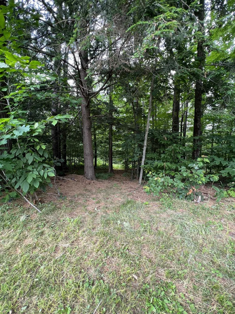 43 Mccusker Place Claremont NH 03743