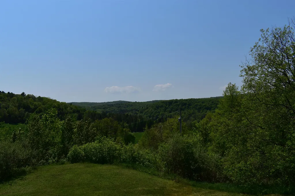 216 Bobbinshop Road Chelsea VT 05038