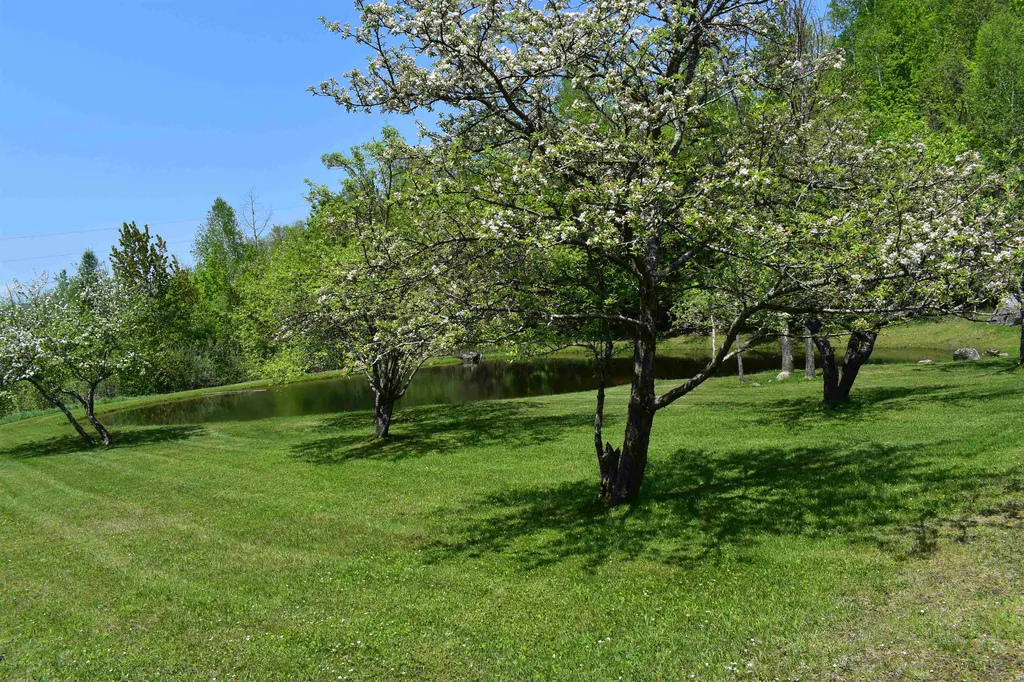 216 Bobbinshop Road Chelsea VT 05038