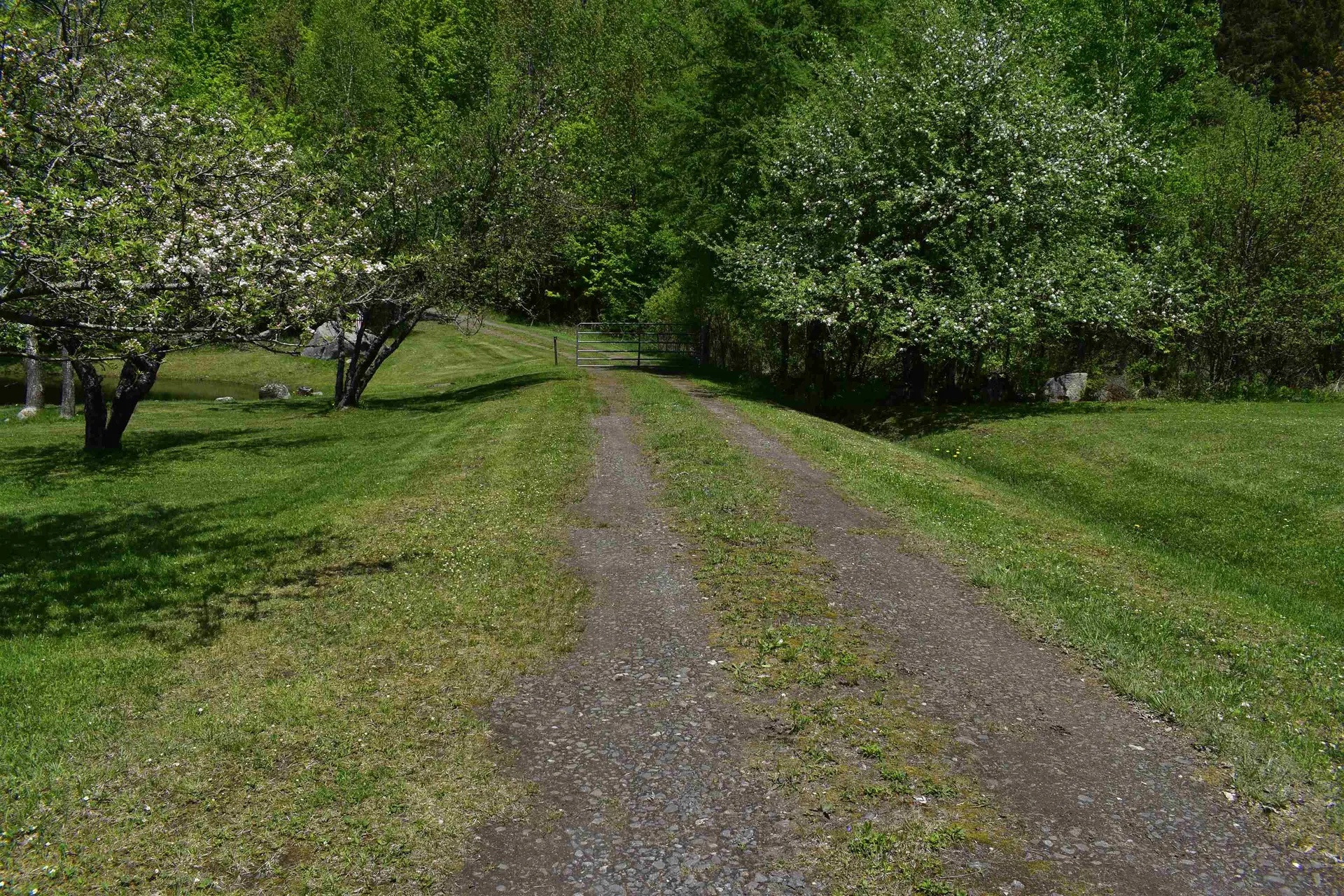 216 Bobbinshop Road Chelsea VT 05038