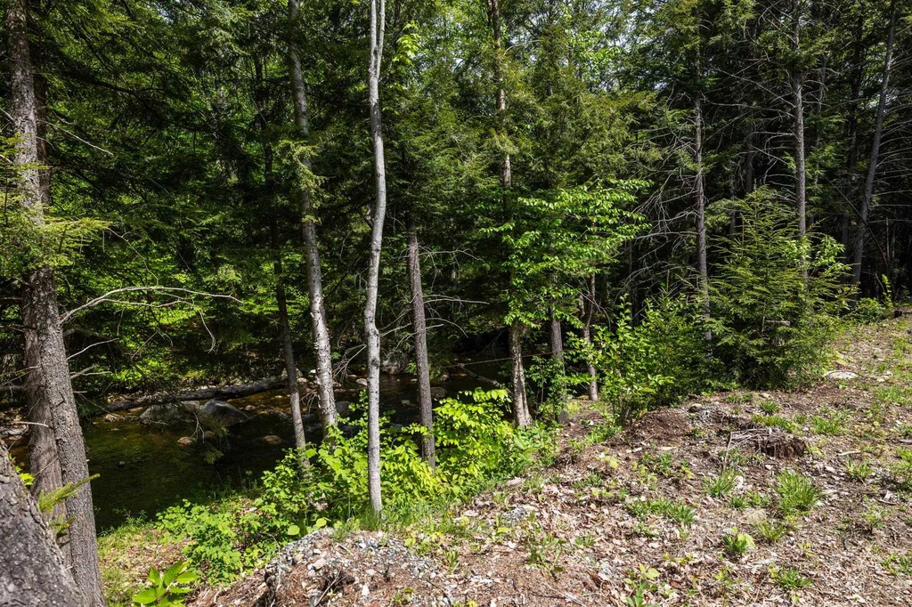 00 Goodbout Road Lincoln NH 03251