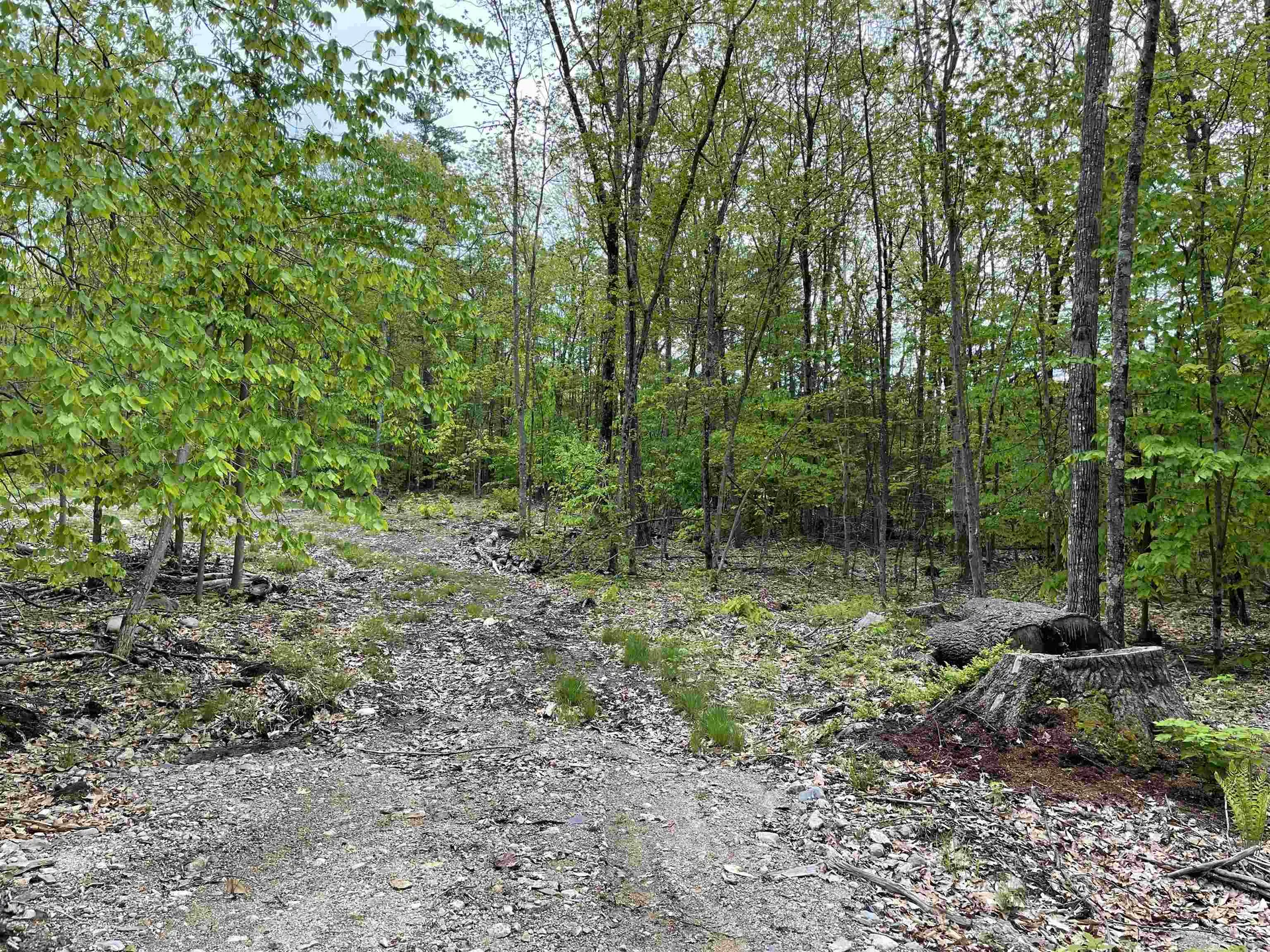 26 Circuit Road Ossipee NH 03864
