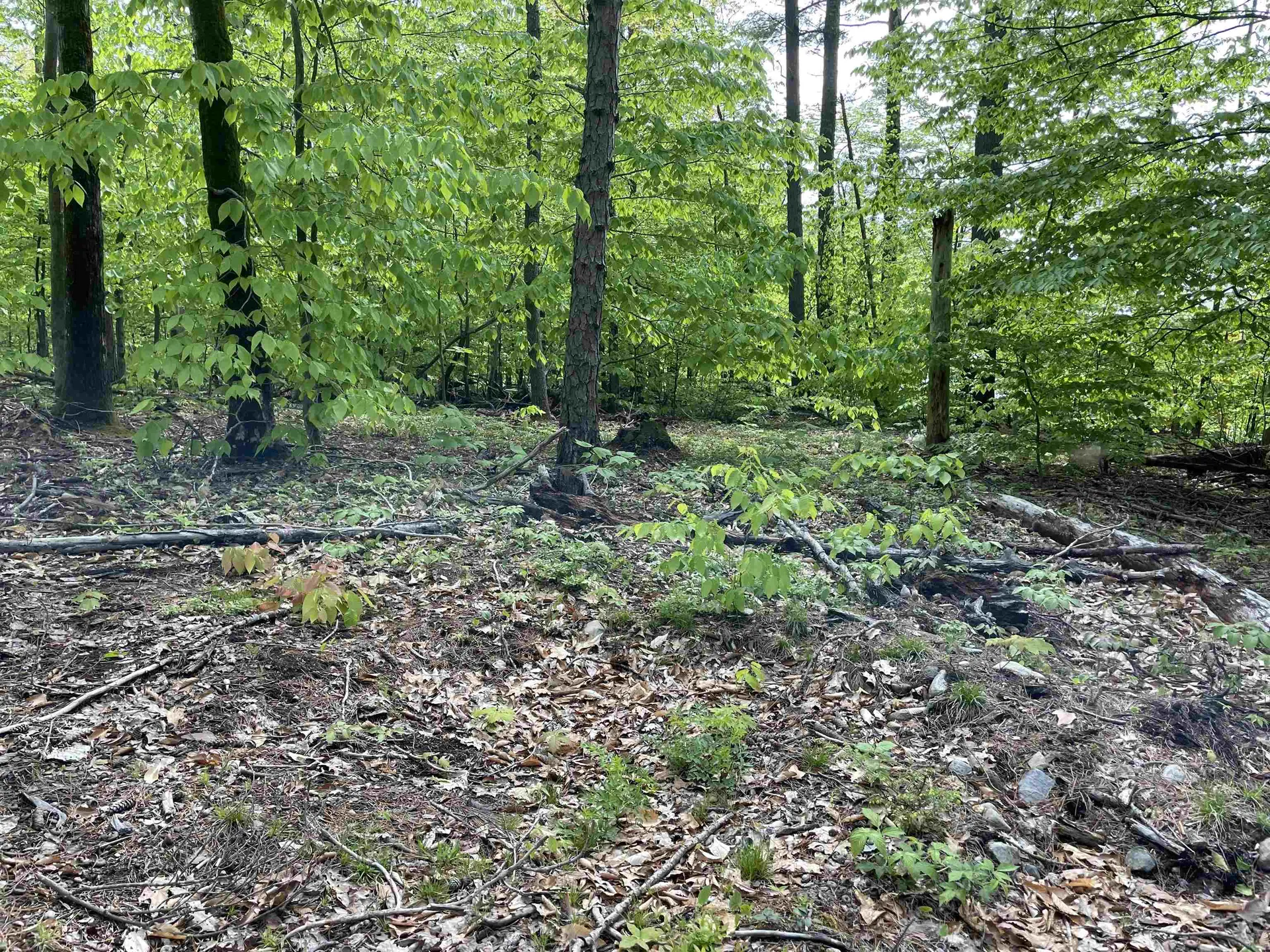 26 Circuit Road Ossipee NH 03864