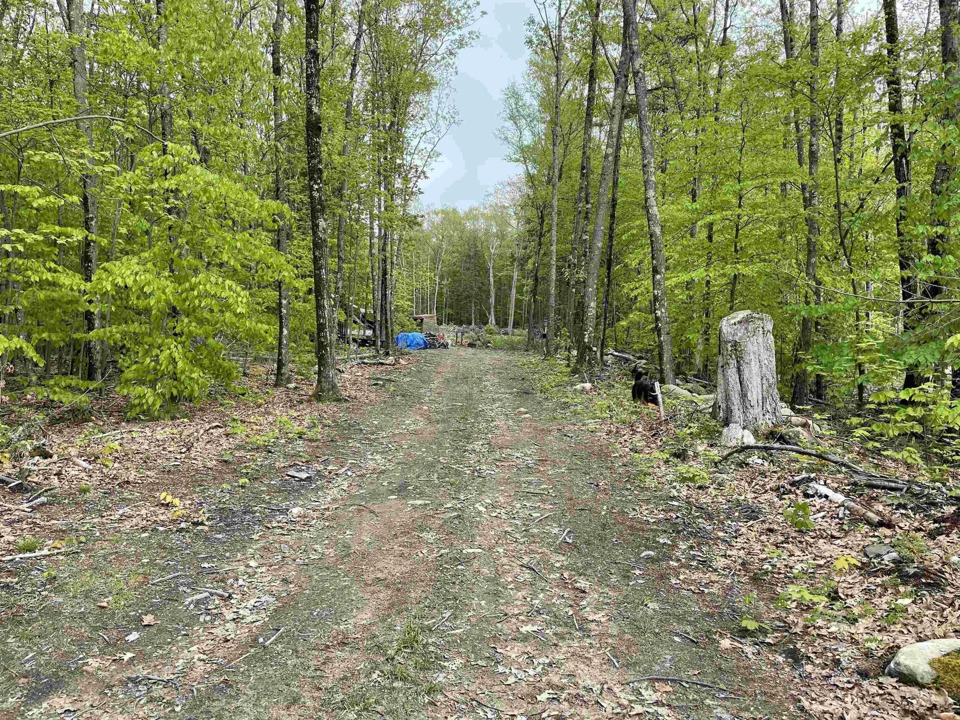 26 Circuit Road Ossipee NH 03864