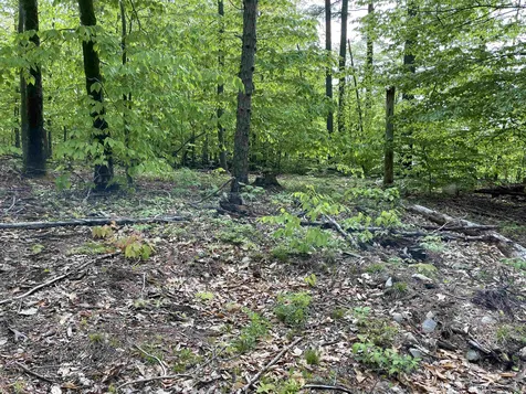 26 Circuit Road Ossipee NH 03864