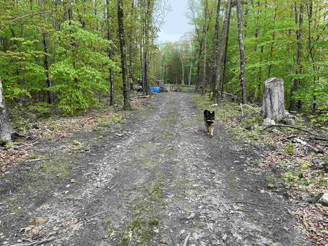 26 Circuit Road Ossipee NH 03864