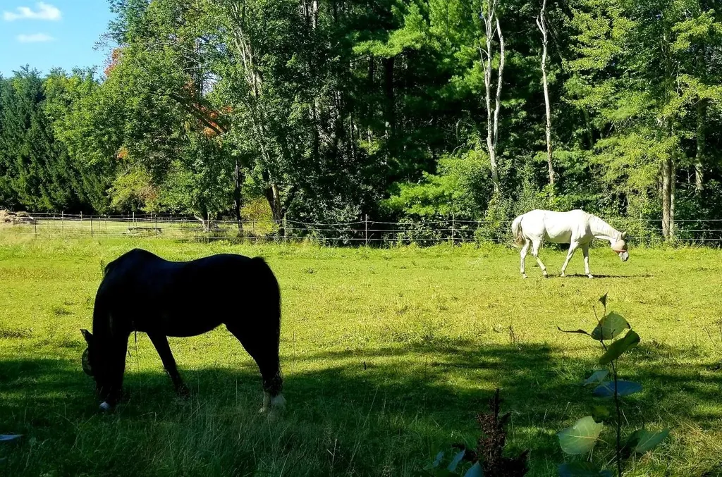 697 Fremont Road Chester NH 03036