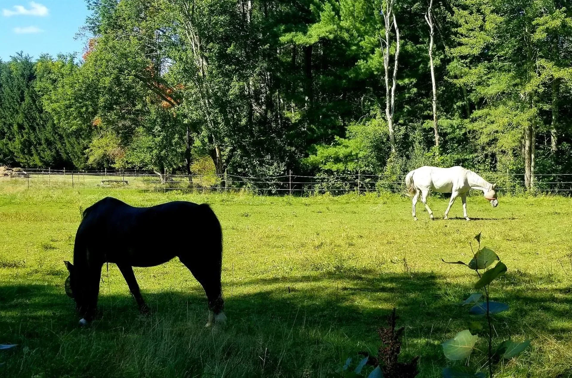 697 Fremont Road Chester NH 03036