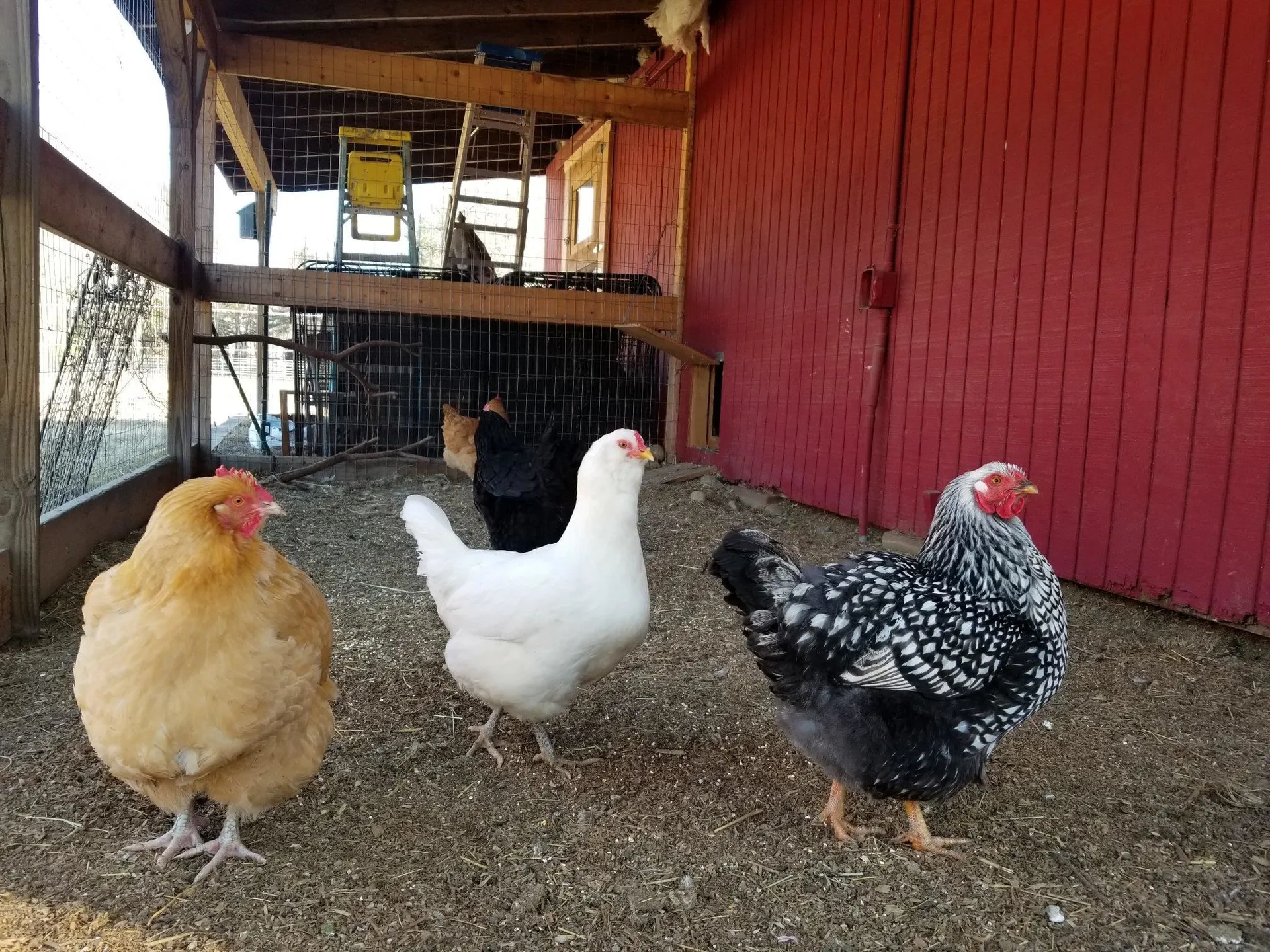 697 Fremont Road Chester NH 03036