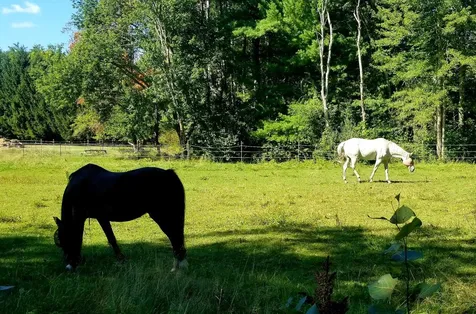 697 Fremont Road Chester NH 03036