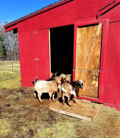 697 Fremont Road Chester NH 03036