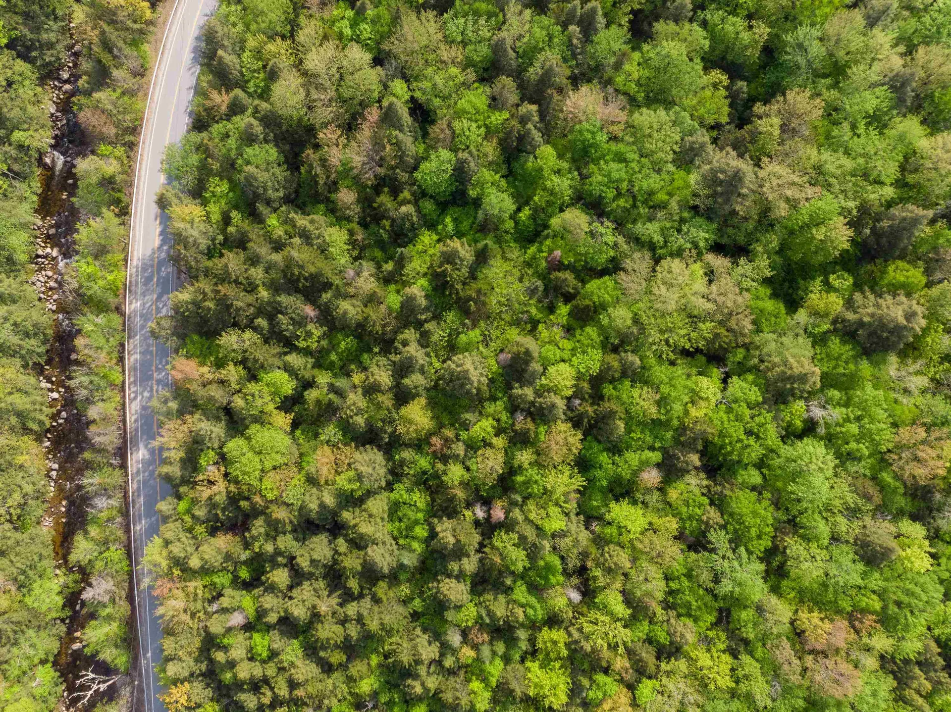 206-011 Lost River Road Woodstock NH 03262