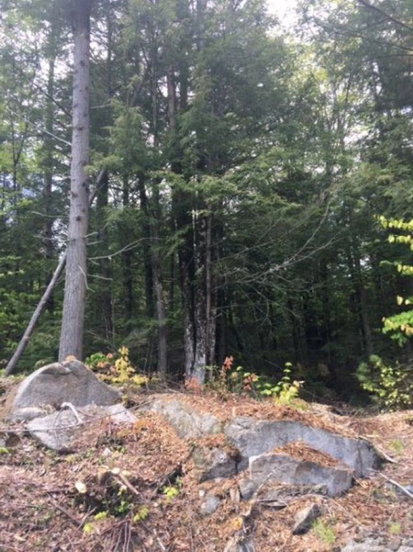 206-011 Lost River Road Woodstock NH 03262