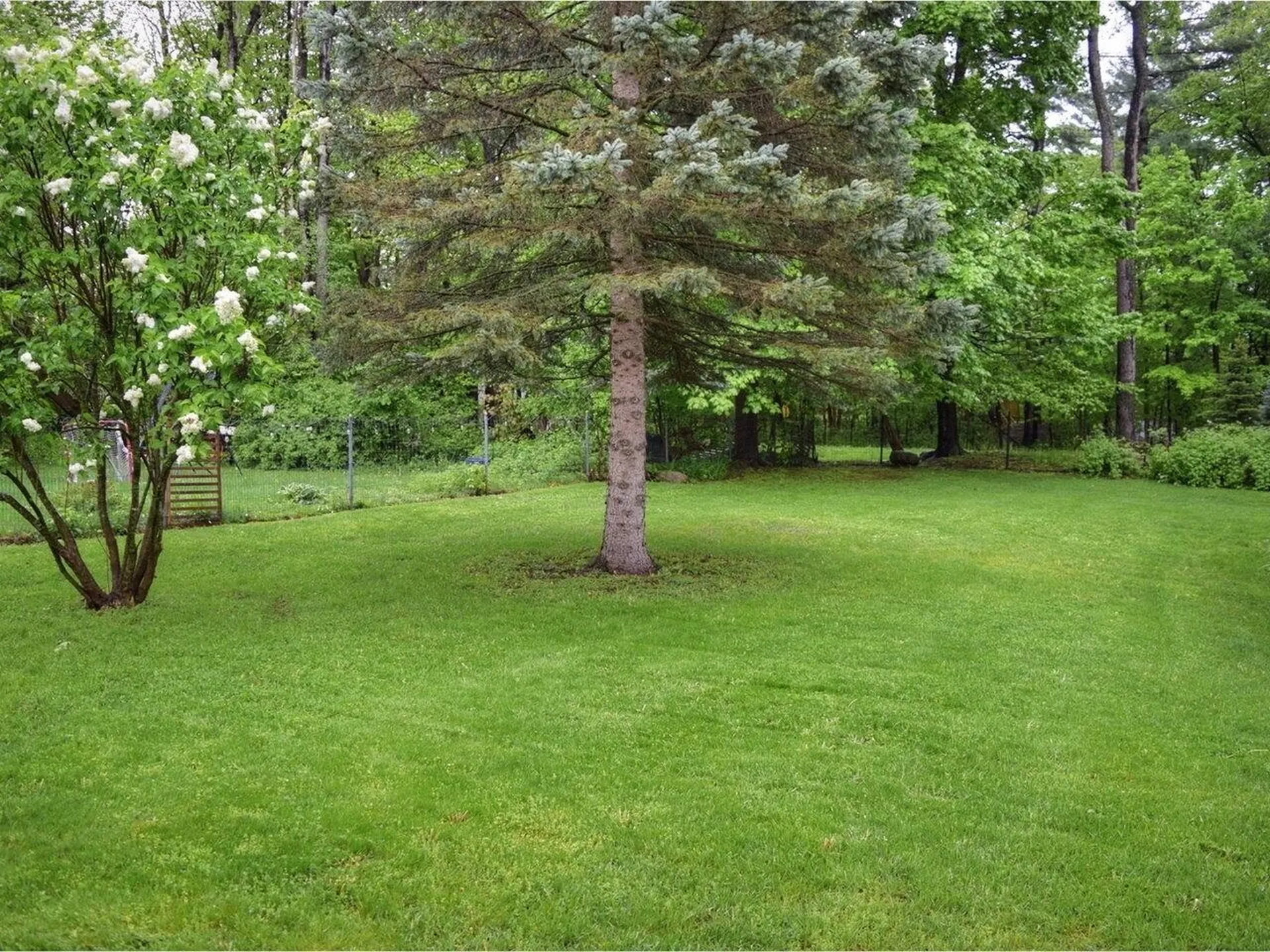 75 Home Avenue Burlington VT 05401