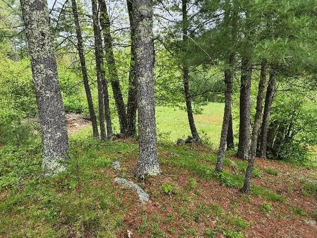 24 Brackett Road New Durham NH 03855
