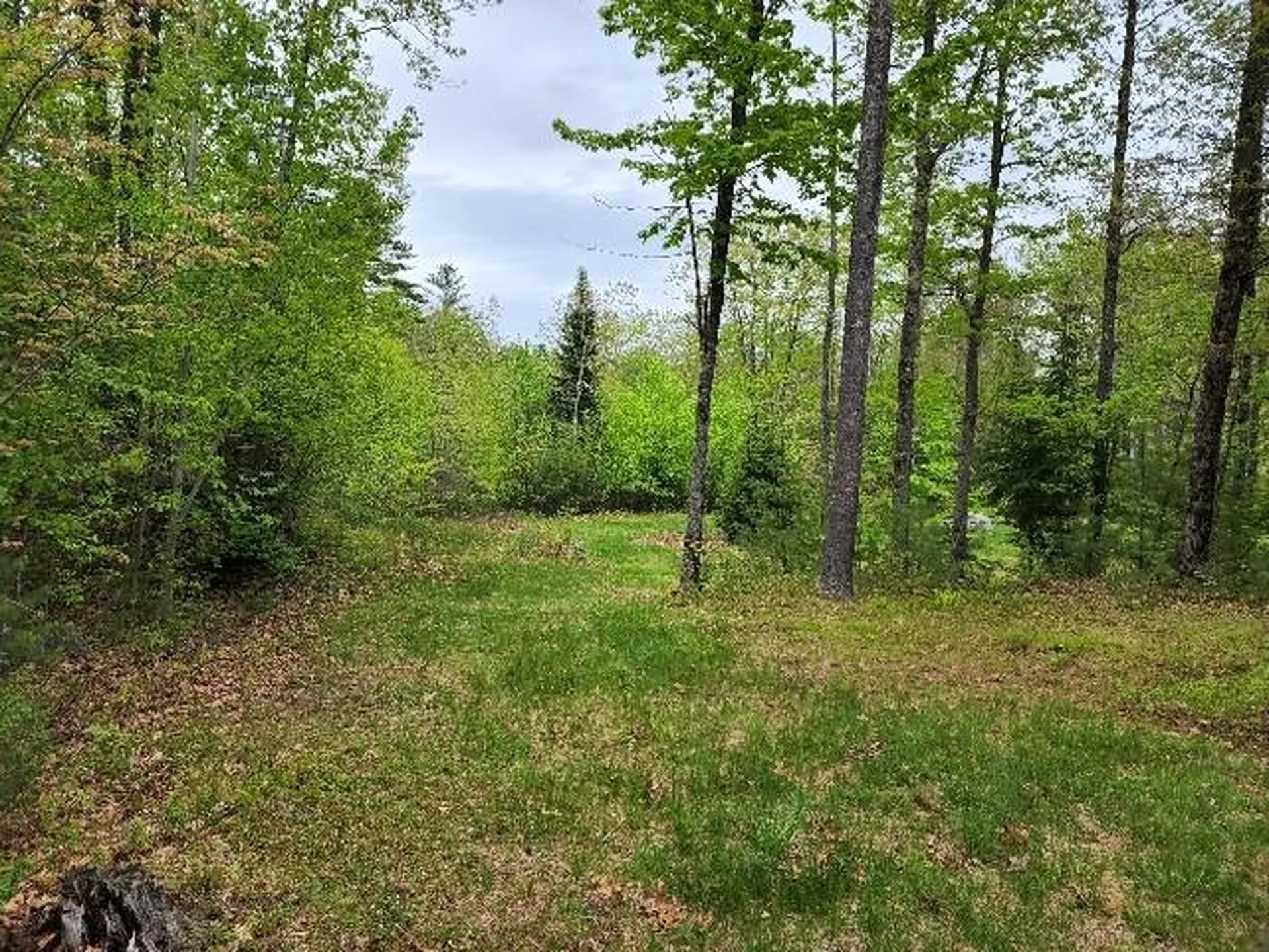 24 Brackett Road New Durham NH 03855