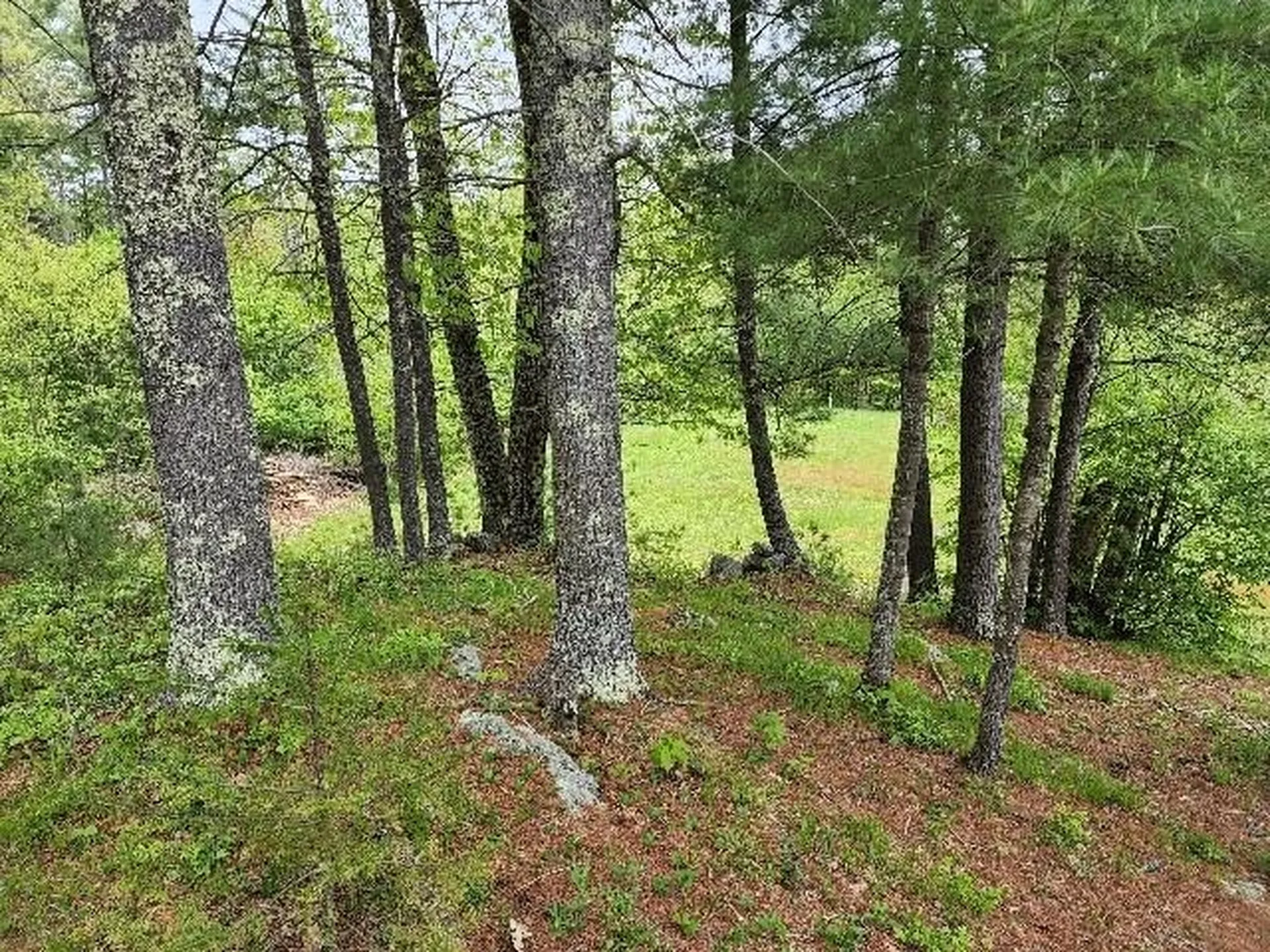 24 Brackett Road New Durham NH 03855