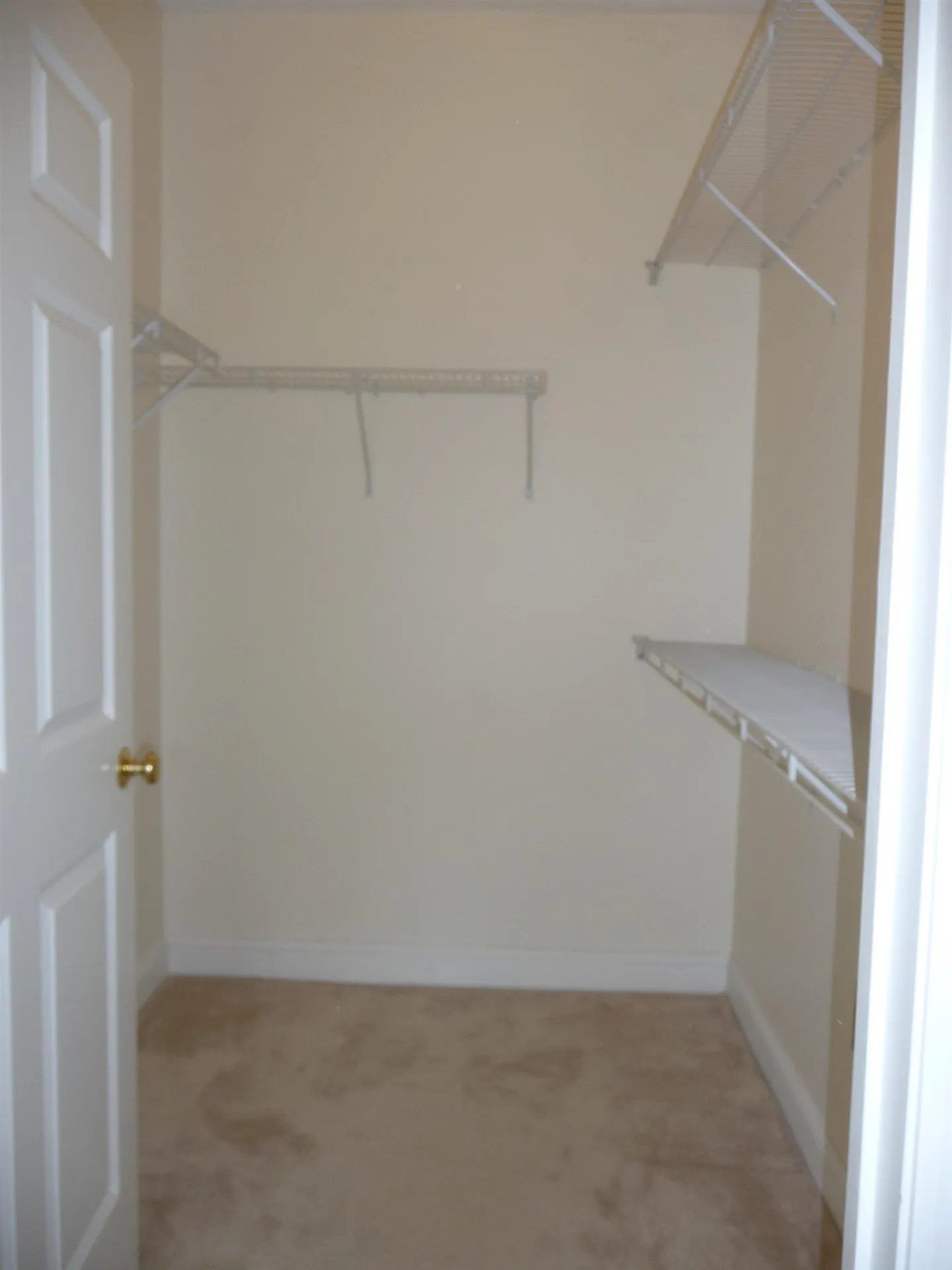 59 Cluff Road Salem NH 03079
