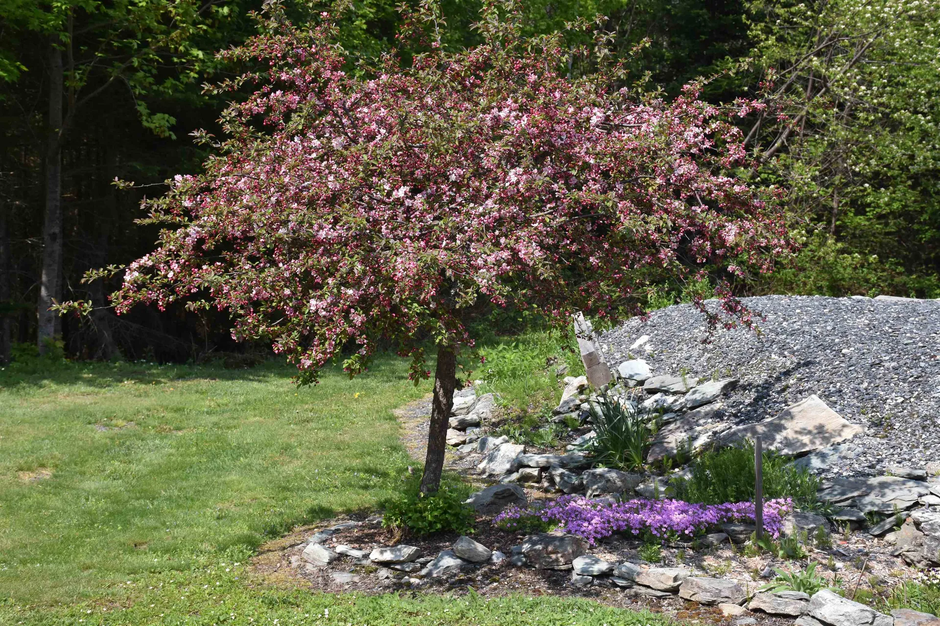 838 Chamberlin Road Northfield VT 05663