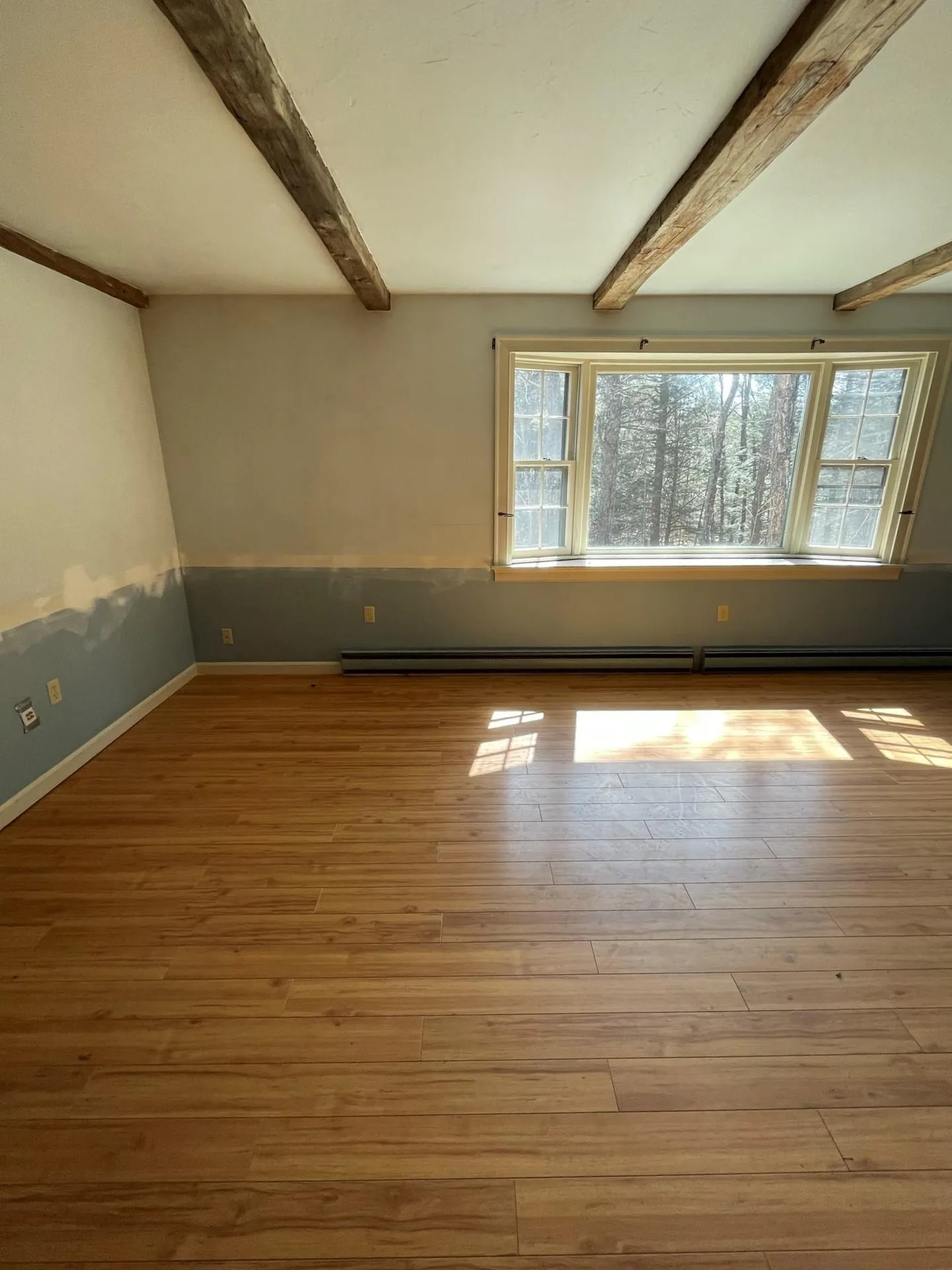 195 Brookwood Park Road Bristol NH 03222