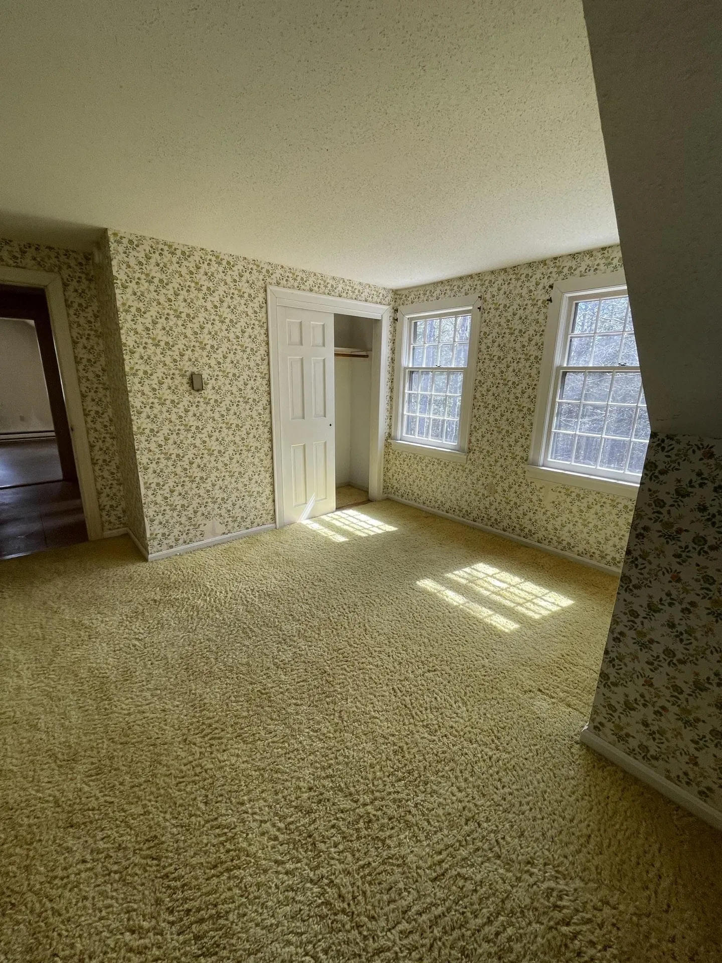 195 Brookwood Park Road Bristol NH 03222