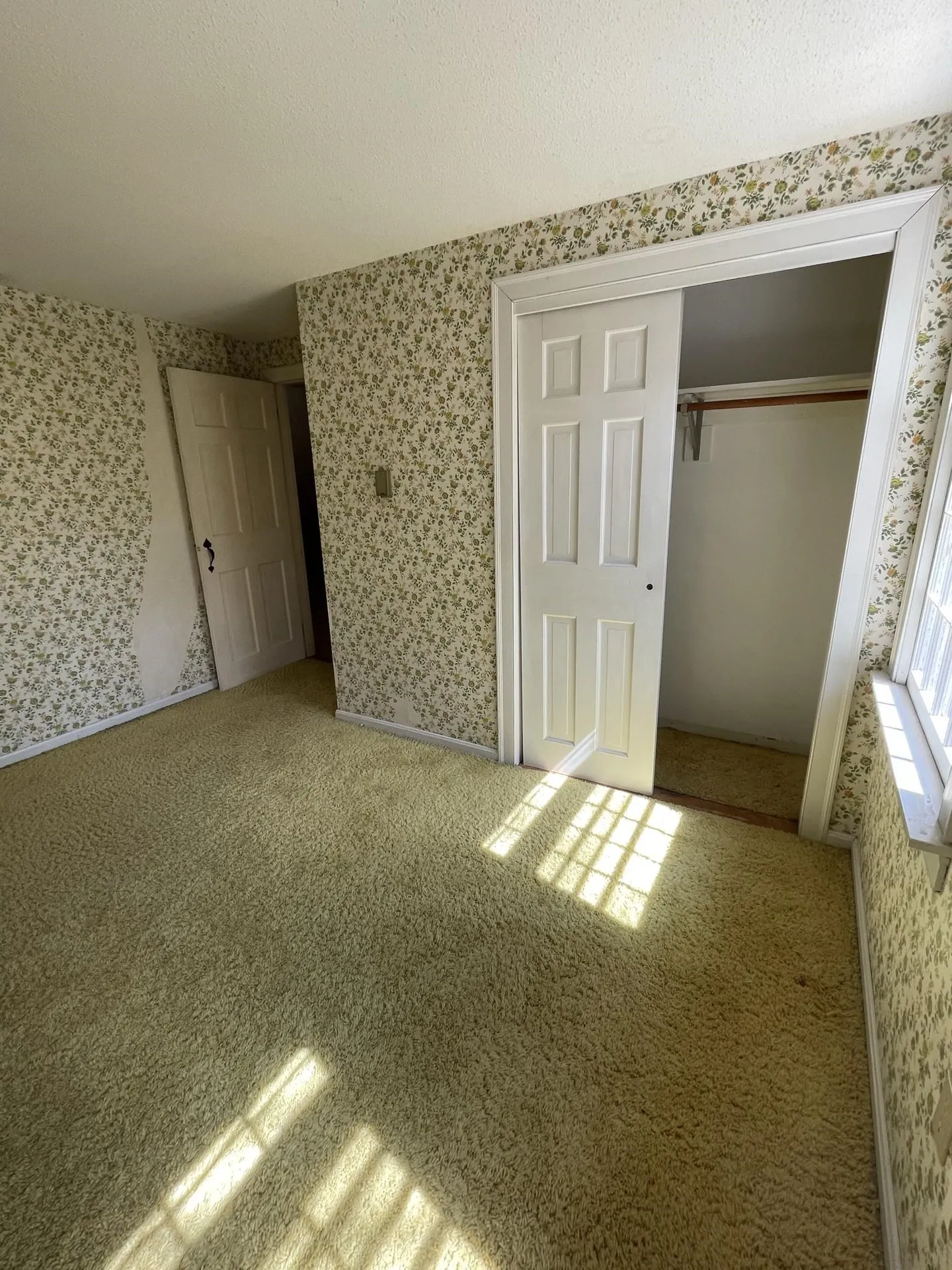 195 Brookwood Park Road Bristol NH 03222