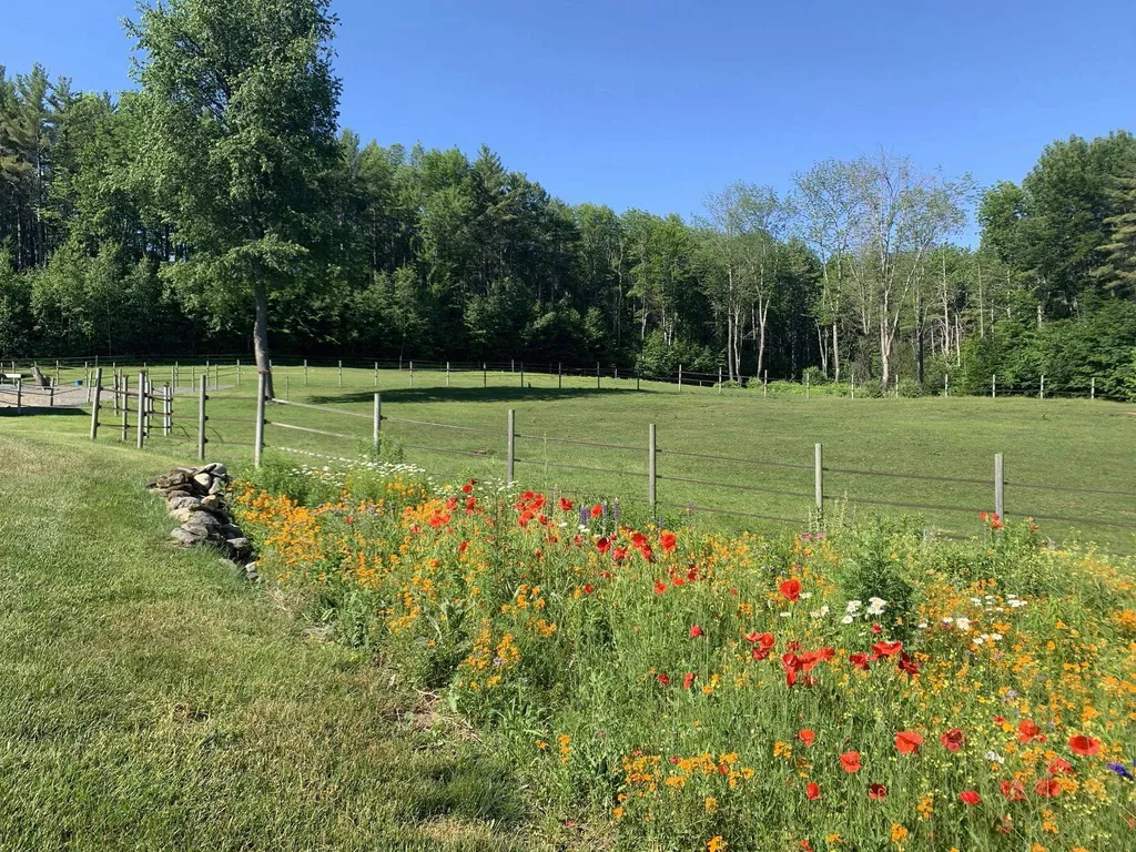 187 Hartland Hill Road Hartland VT 05091