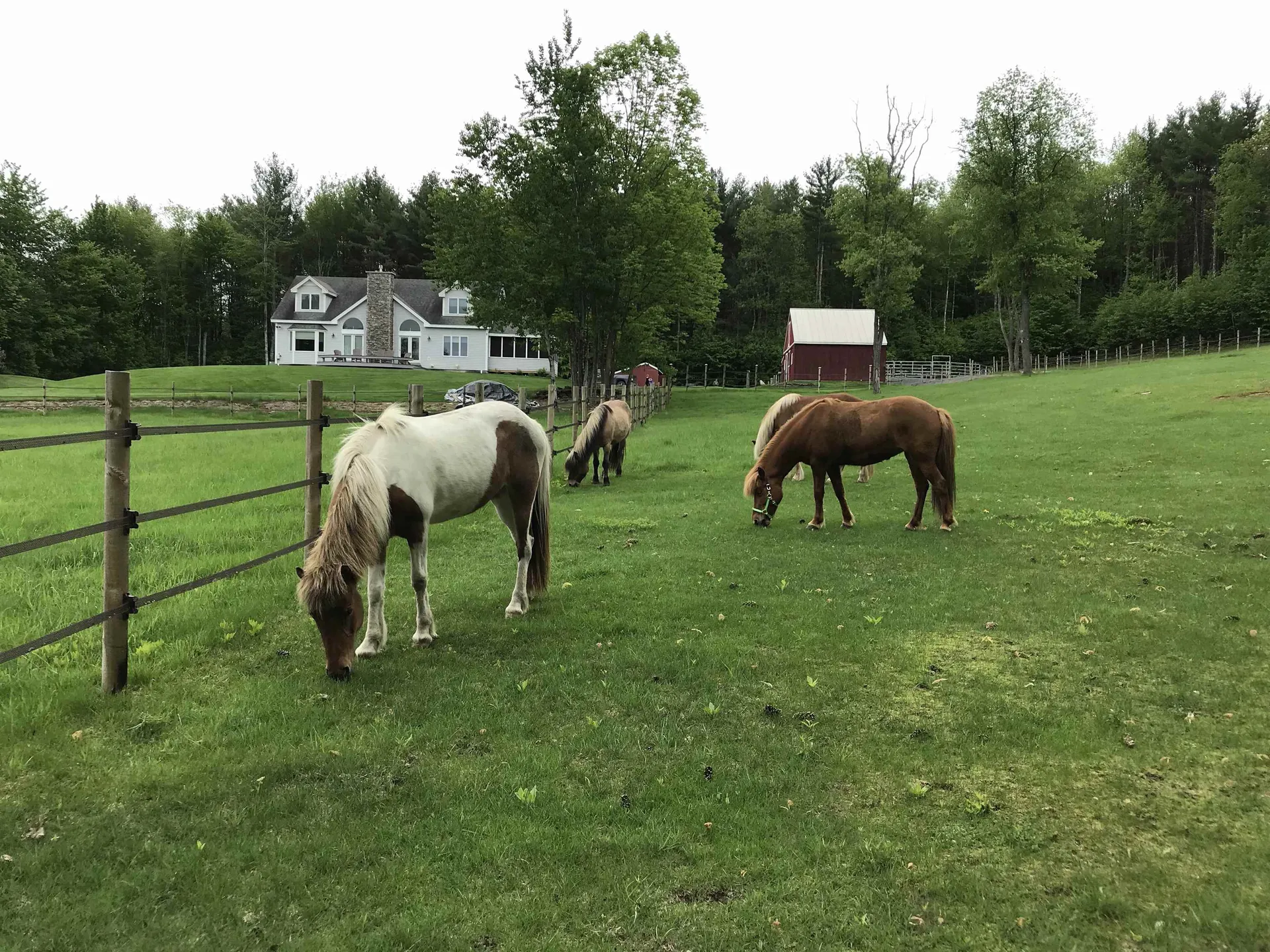 187 Hartland Hill Road Hartland VT 05091