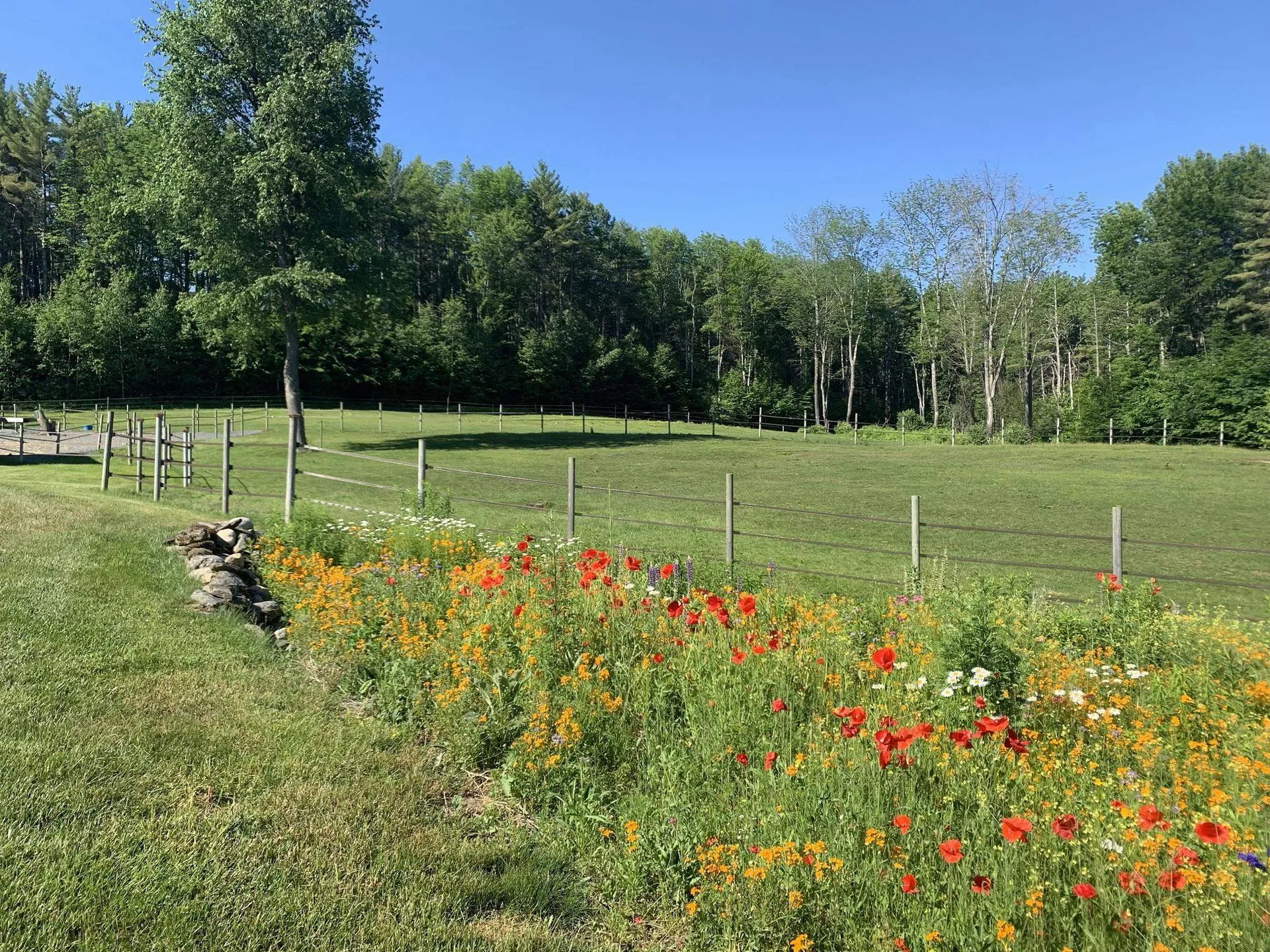 187 Hartland Hill Road Hartland VT 05091